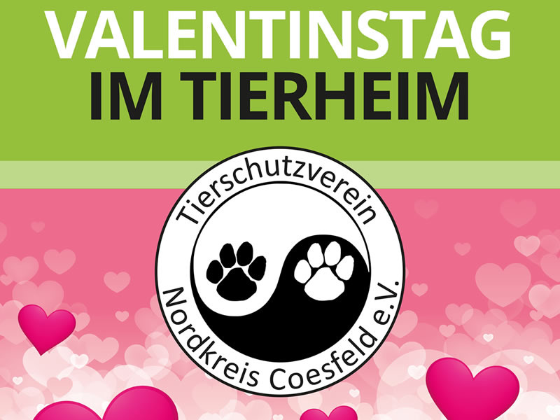 TSV-Cosefeld-Plakat-Valentinstag26_WEB-Website_News-Bild_1a