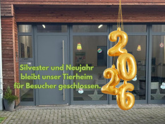 Silvester zu1