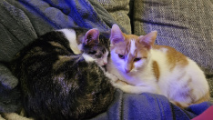 Christina und Bambi_zuhause