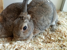 IMG_20260122_140839_2