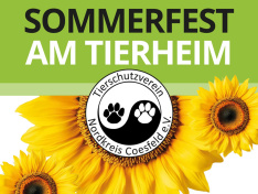TSV-Cosefeld-Plakat-Sommerfest2026_WEB-Website_News-Bild_1