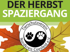 TSV-Cosefeld-Plakat-Herbstspaziergang2026_WEB-Website_News-Bild_1