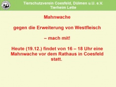 Westfleisch1