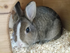 IMG_20260122_140743_7