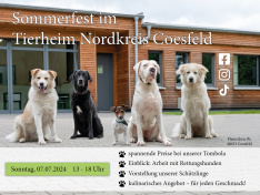 Tierheimplakat 2024 Querformat