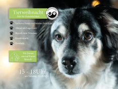Tierheimplakat Winter 2024 QF
